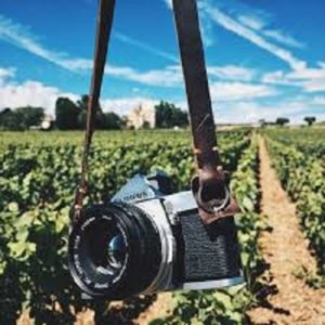 Photography in the Pinots @ Setter Ridge Vineyards | Kutztown | Pennsylvania | United States