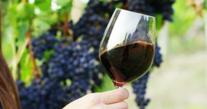 Pinot Noir Vertical Tasting @ Setter Ridge Vineyards | Kutztown | Pennsylvania | United States