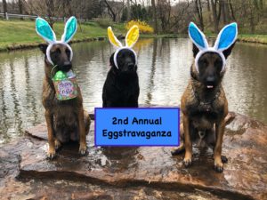 2nd Annual Eggstravaganza at Neverland K-9 Institute @ Neverland K-9 Institute | Kutztown | Pennsylvania | United States