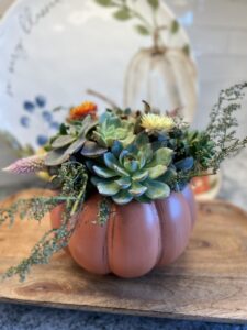 Pumpkin Succulent Workshop - SOLD OUT @ Setter Ridge Vineyards | Kutztown | Pennsylvania | United States