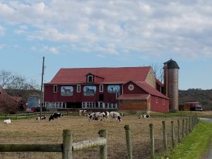 Gauker Farms Beef & Beer Bash @ Gauker Farms | Fleetwood | Pennsylvania | United States