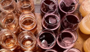 Sangria Flights Preview @ Setter Ridge Vineyards | Kutztown | Pennsylvania | United States