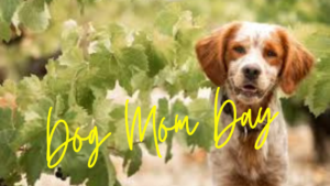 Dog Mom Day @ Setter Ridge Vineyards | Kutztown | Pennsylvania | United States