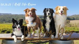 International Dog Day @ Setter Ridge Vineyards | Kutztown | Pennsylvania | United States