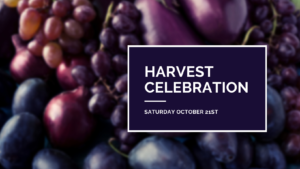 Harvest Celebration @ Setter Ridge Vineyards | Kutztown | Pennsylvania | United States