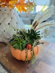 Pumpkin Succulent Workshop @ Setter Ridge Vineyards | Kutztown | Pennsylvania | United States